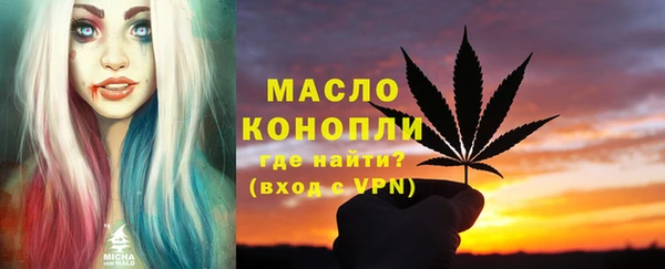 шишки Верхний Тагил