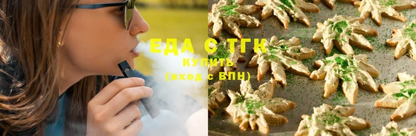 шишки Верхний Тагил