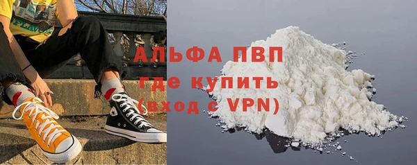 шишки Верхний Тагил